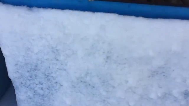 Зимовка без утепления в -17! 08.02.2020 смотреть онлайн