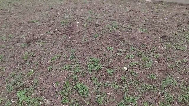 Состояние экспарцета на середину марта. смотреть онлайн