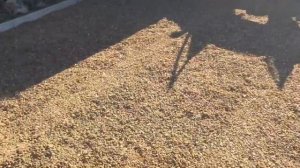 Как сделать парковку  своими руками. тротуарная плитка