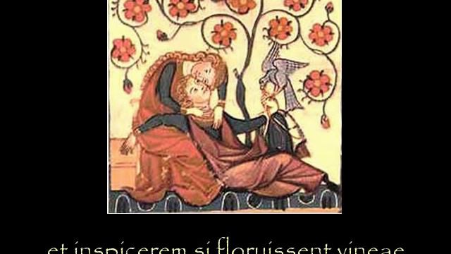 Dunstable: Descendi in hortum meum смотреть онлайн