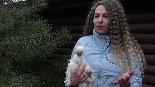 "Пушистый клюв" с Настей. Знакомство. Самые Декоративные, экзотические породы курей на одной ферме смотреть онлайн