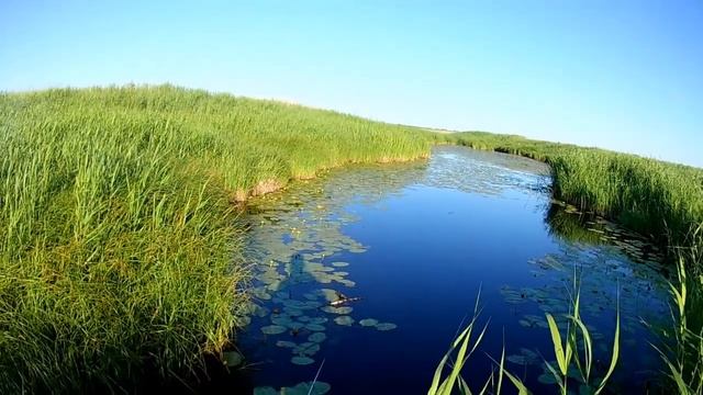 Реальная рыбалка Речка Чистюнька Лето середина июня 7 смотреть онлайн