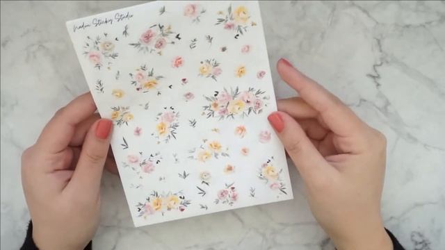 Planner Sticker Haul | Plannerface, Nadou Sticky Studio, Caress Press & SPC Full Box Grab bags! смотреть онлайн