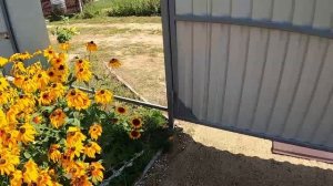 Винтовая свая, своими руками. Как укрепить столб въездных ворот от выдавливания.