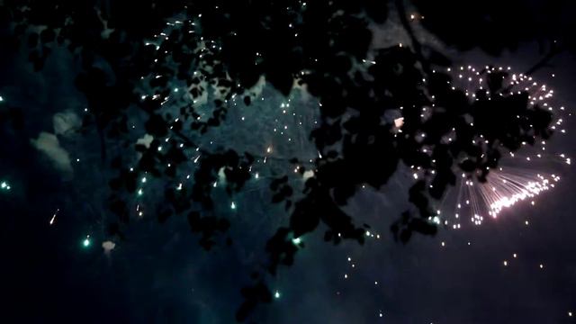 В Зеленограде отпраздновали 71-ю годовщину Великой Победы (4) смотреть онлайн