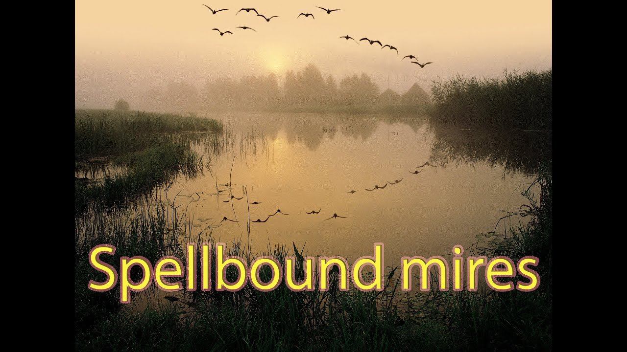 Spellbound Mires