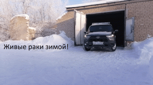 Один день из жизни нивы Tревел