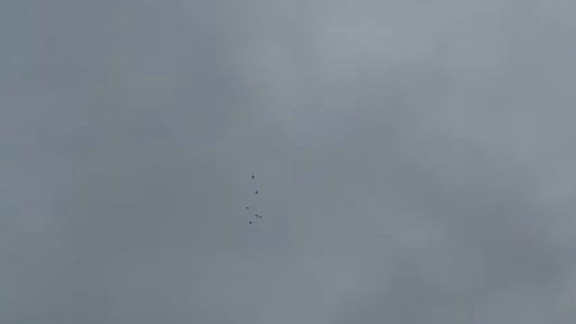 Клуб "Жаворонок" 3й тур.Индопакистанцы.Заводчик Пучков смотреть онлайн