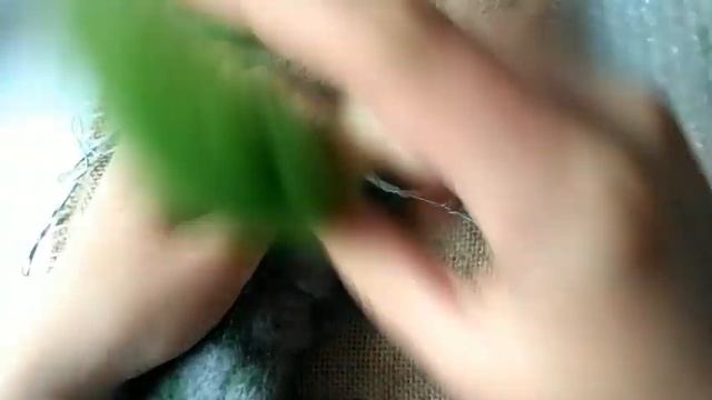 Дракон из шерсти на каркасе часть 2 смотреть онлайн