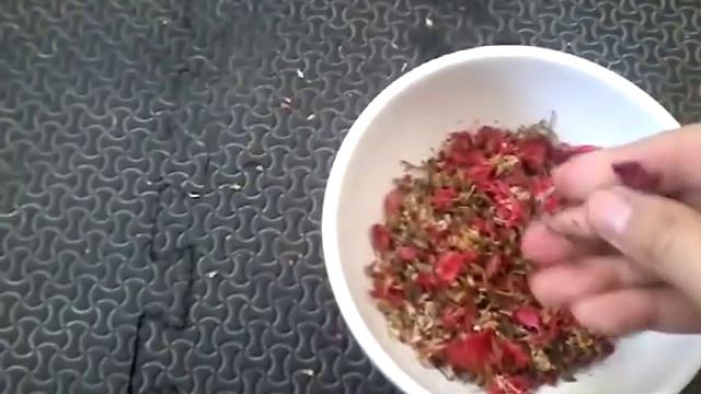 violetas africanas polvo de hadas el mejor abono del mundo chuyito jardinero смотреть онлайн