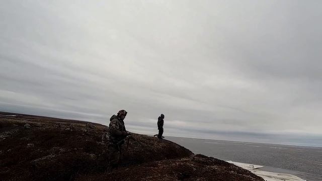 Весеняя охота 2021, много перелетного гуся! смотреть онлайн