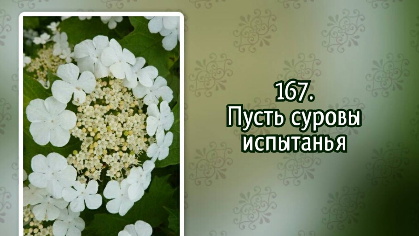 Гимны надежды 167 Пусть суровы испытанья (-) смотреть онлайн