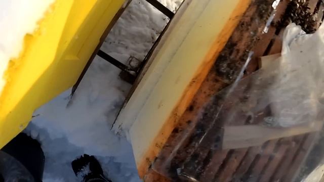 Подкормка пчел в феврале. Даем канди. Пчеловодство в Курской области.