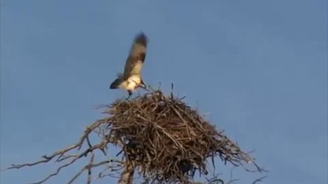 География России. Малая Сосьва. смотреть онлайн