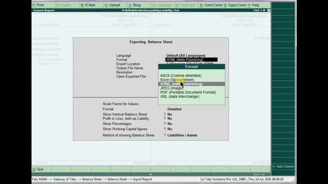 EXPORTS IN TALLY ( to Excel, PDF, Jpeg, Bmp, HTML, web ) | By Ur's Ravi Telugu | Secunderabad смотреть онлайн