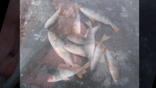 Поповка смотреть онлайн