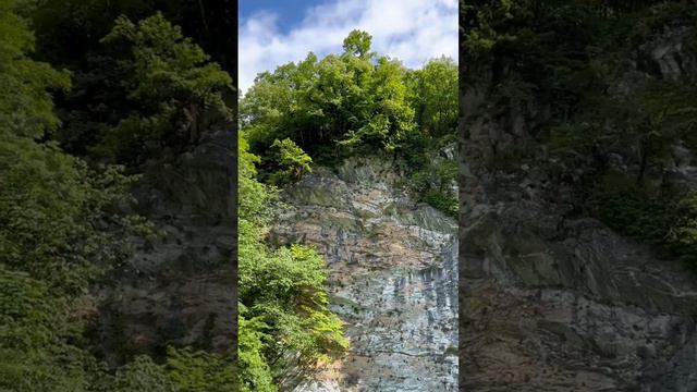 Абхазия🌴🍷 смотреть онлайн