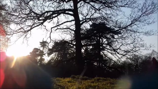 Dittersdorf Double Bass Concerto Adagio