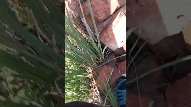 страшный прыжок для меня хоть и был мой друг съёмщик и там прыгал мой друг это очень страшно смотреть онлайн