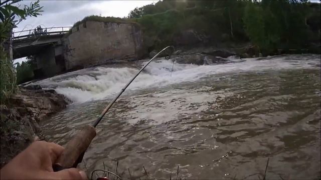 ЭКСТРИМАЛЬНЫЙ МОРМЫШИНГ ИЛИ КАК УСПОКОИТЬ НЕРВЫ НА РЫБАЛКЕ смотреть онлайн