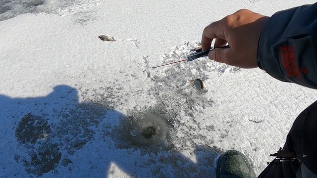 В поисках РЫБЫ по ПОСЛЕДНЕМУ ЛЬДУ . Экстремальная рыбалка ранней весной ! смотреть онлайн