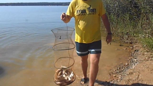 четыре дня великолепной рыбалки на вилейскоим водохранилище смотреть онлайн