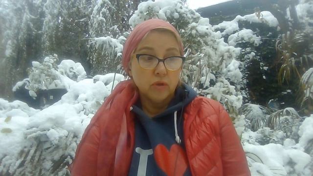 ПОЧЕМУ впервые стали мониторить ПОГОДУ.Грядет ПЕРЕМИРИЕ.РУССКИЙ паспорт смотреть онлайн