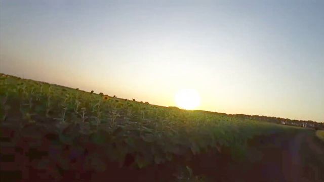 КАК ПОСЧИТАТЬ ШАНС ВЫПАДЕНИЯ ВЕЩИ ИЗ ЯЩИКОВ #newstate #pubg #pubgmobile смотреть онлайн