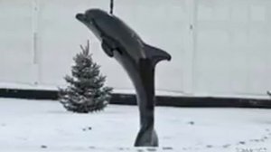 Гео пика - Фантанчик с чёрным дельфином .