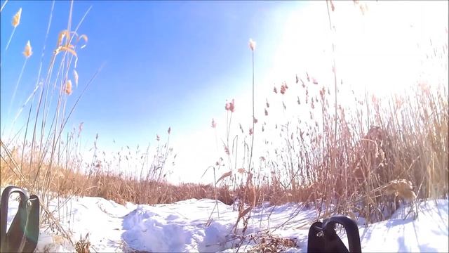 Поездка на Dingo 125 смотреть онлайн