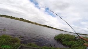 Ловля карпа на бойлы. Супер рыбалка, отличный улов!