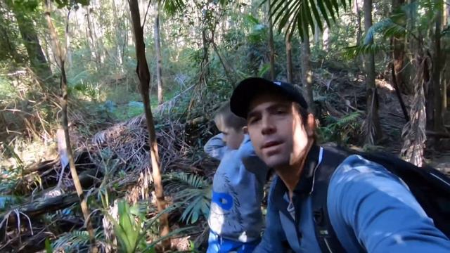 Australian Tree Chaser : The Climbing Pandanus смотреть онлайн