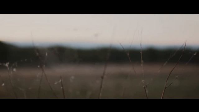 Видео-портрет Альбина - Video portret - Albina.mp4 смотреть онлайн