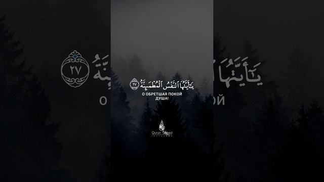 Сура 89 аяты 27,30 смотреть онлайн