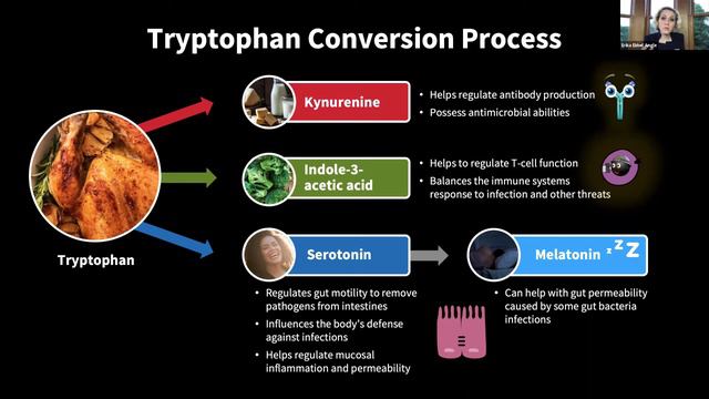 Defense from the Inside Out by Erika Ebbel Angle, PhD смотреть онлайн