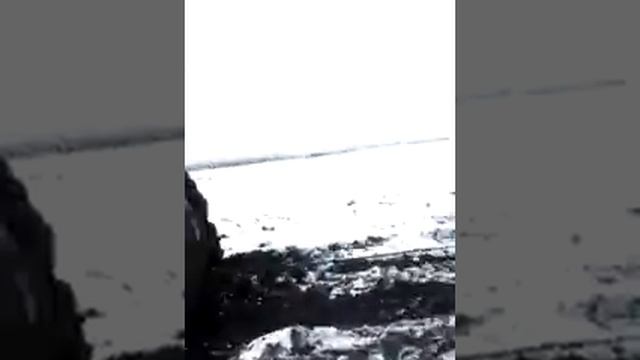 Вывоз сахарной свеклы смотреть онлайн