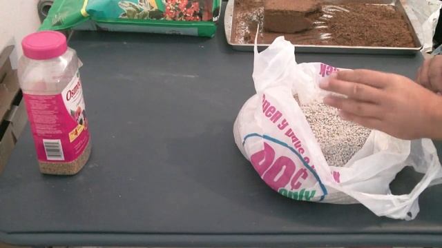 Cactus soil mix part 1 смотреть онлайн