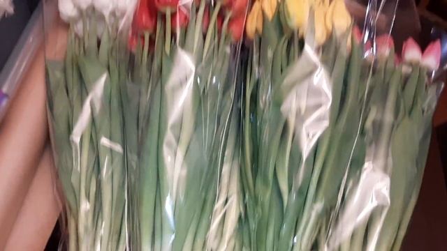 Подготовка тюльпана к продаже. Обрезка луковицы, упаковка в пакеты. ч16 смотреть онлайн