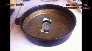 ★ Как очистить сковороду от нагара. Рецепт с силикатным клеем,  сковородки блестят как новенькие.