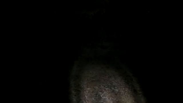 slender 8/8 записок часть 2 + Алёша смотреть онлайн