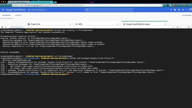 Using the Vision API with C# смотреть онлайн