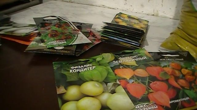 Сад и огород .Физалис - чудо плод моего сада лечим цистит и почки, гипертонию смотреть онлайн