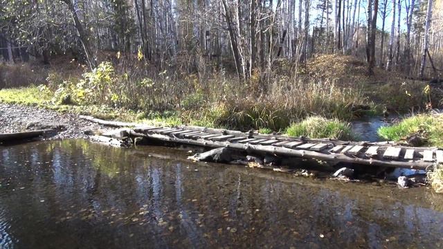 Красивая золотая осень на Урале смотреть онлайн
