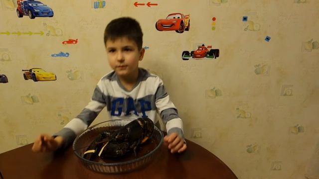 ОМАР: приготовление и дегустация – COOKING of Lobster: young chief. Shopping & Hunting SanSanychTV смотреть онлайн