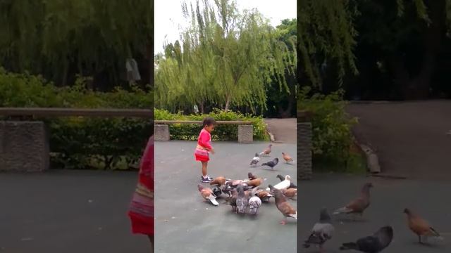 Rhea play with birds смотреть онлайн