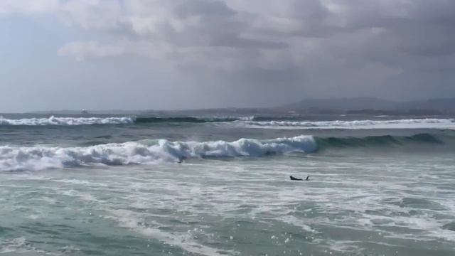 Surf Caparica Filmado com Sanyo Xacti hd2000 смотреть онлайн