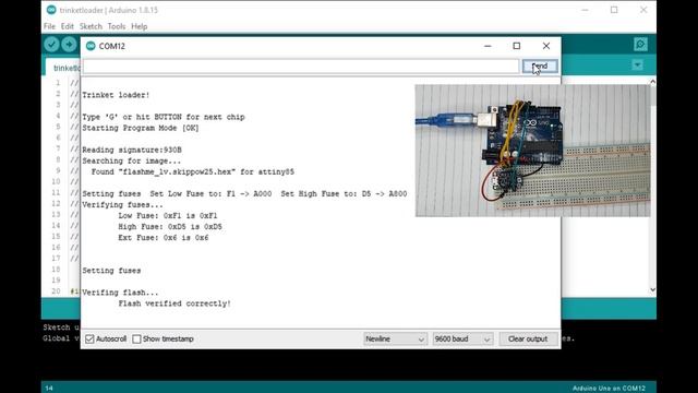 How to use Adafruit Trinket ATtiny85 to Mine Duino-Coin Cryptocurrency смотреть онлайн