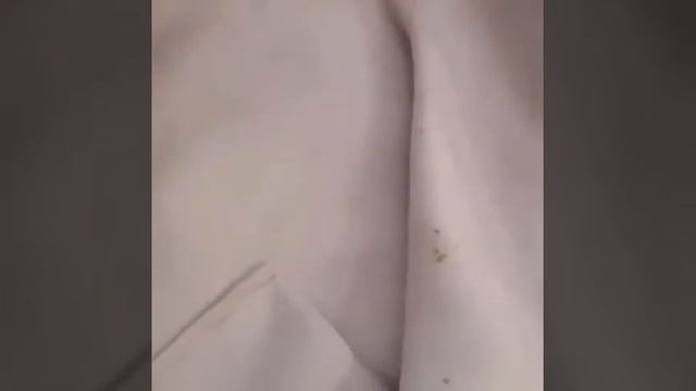 Как легко почистить  пальто если вас окатили из лужи