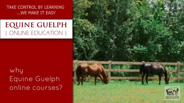 Student talks about online horse education with Equine Guelph. смотреть онлайн