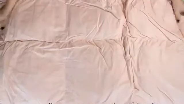 Кассетное одеяло Люкс